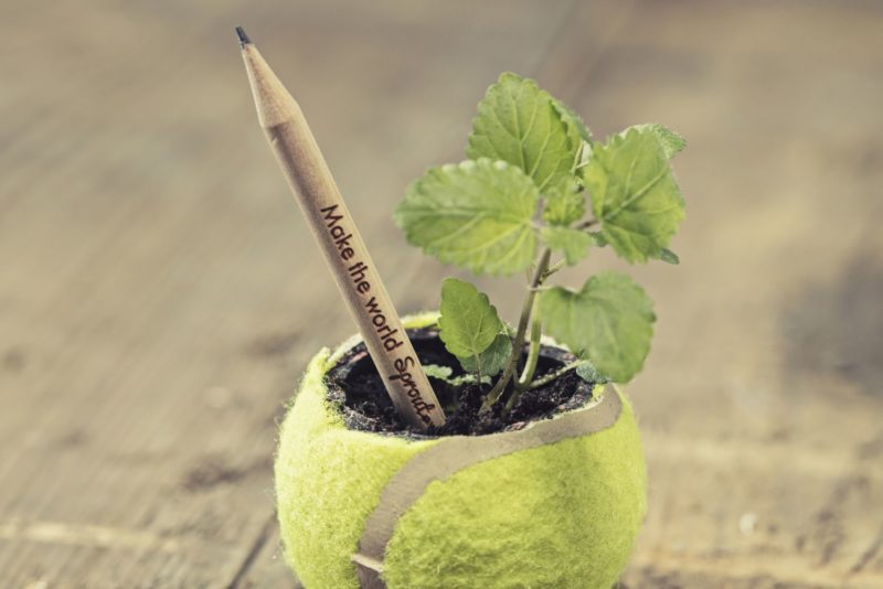 Sprout World : le crayon qui se plante