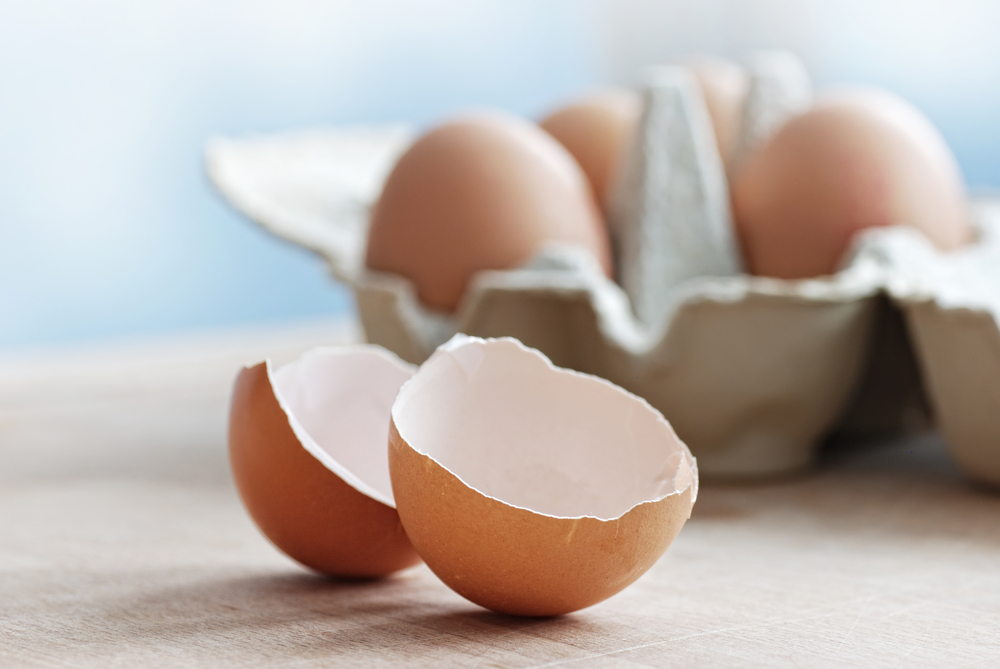 Les coquilles d'oeufs sont efficaces pour dégraisser la vaisselle. 