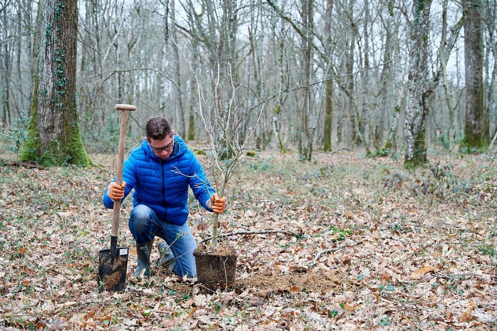 Avec GreenBug, chacun peut cofinancer des projets à impact positif sur les milieux naturels
