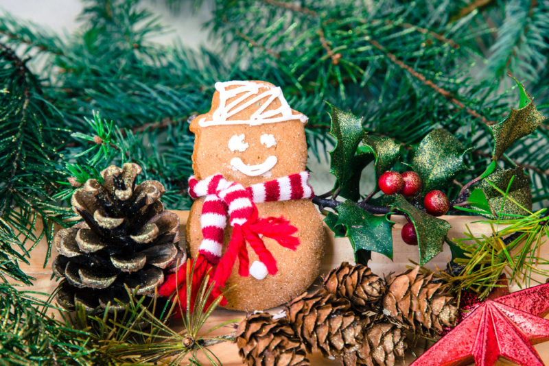Sapin, cadeaux, repas : nos conseils pour un Noël plus « vert »