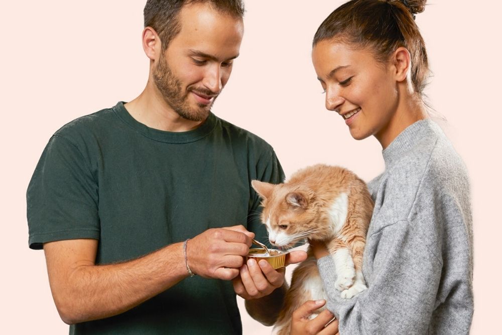 Alyosha Rozo et Marie Bonhomme ont lancé leur marque de pâtés pour chats 